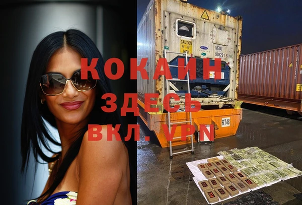 кокс Арсеньев