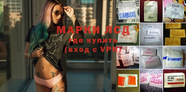 гашик Аркадак