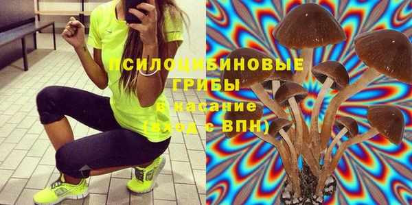 гашик Аркадак