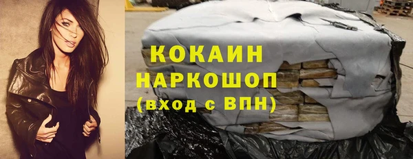 гашик Аркадак